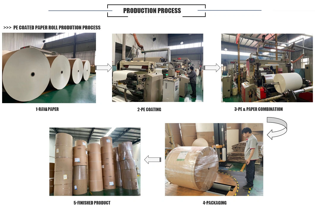 210GSM Biodegradable Food Grade PE Coated Paper Roll for Paper Cup