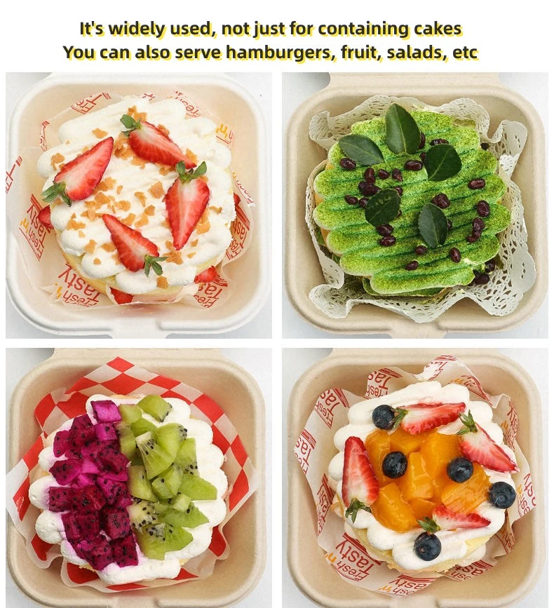 Degradable Paper Pulp Meal Boxes Salad Burger Fruit and Vegetable Cake Meal Box