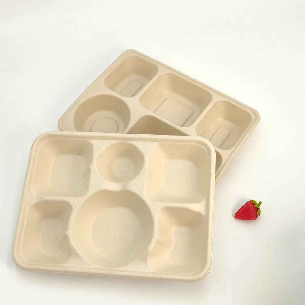 Biodegradable Tableware Disposable Carry-out Compostable Sugarcane Food Container Take Away Lunch Packaging Pulp 3/4/5/6 Compartment Bagasse Box/Tray Box