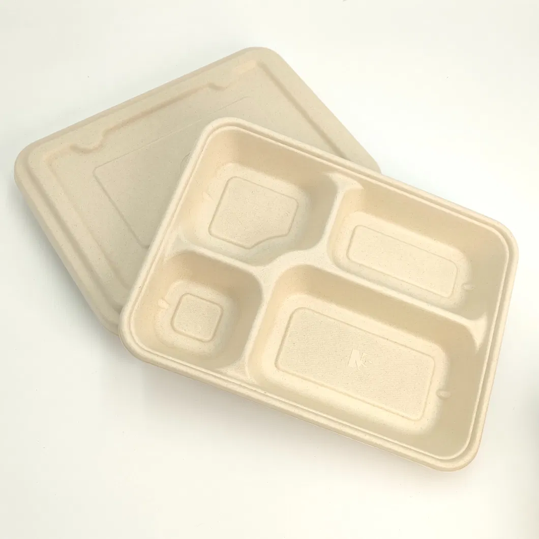 Biodegradable Tableware Disposable Carry-out Compostable Sugarcane Food Container Take Away Lunch Packaging Pulp 3/4/5/6 Compartment Bagasse Box/Tray Box