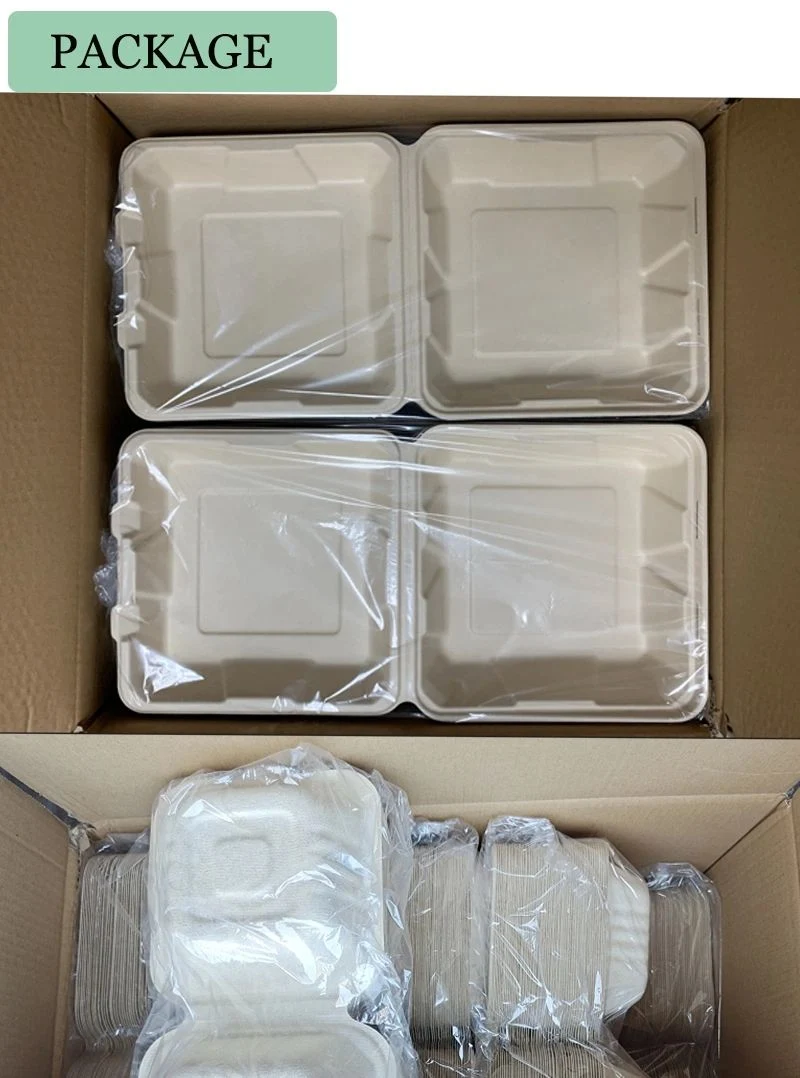 Biodegradable Disposable Takeaway Food Container Bagasse Paper Food Box Fruit and Vegetable Takeaway Container