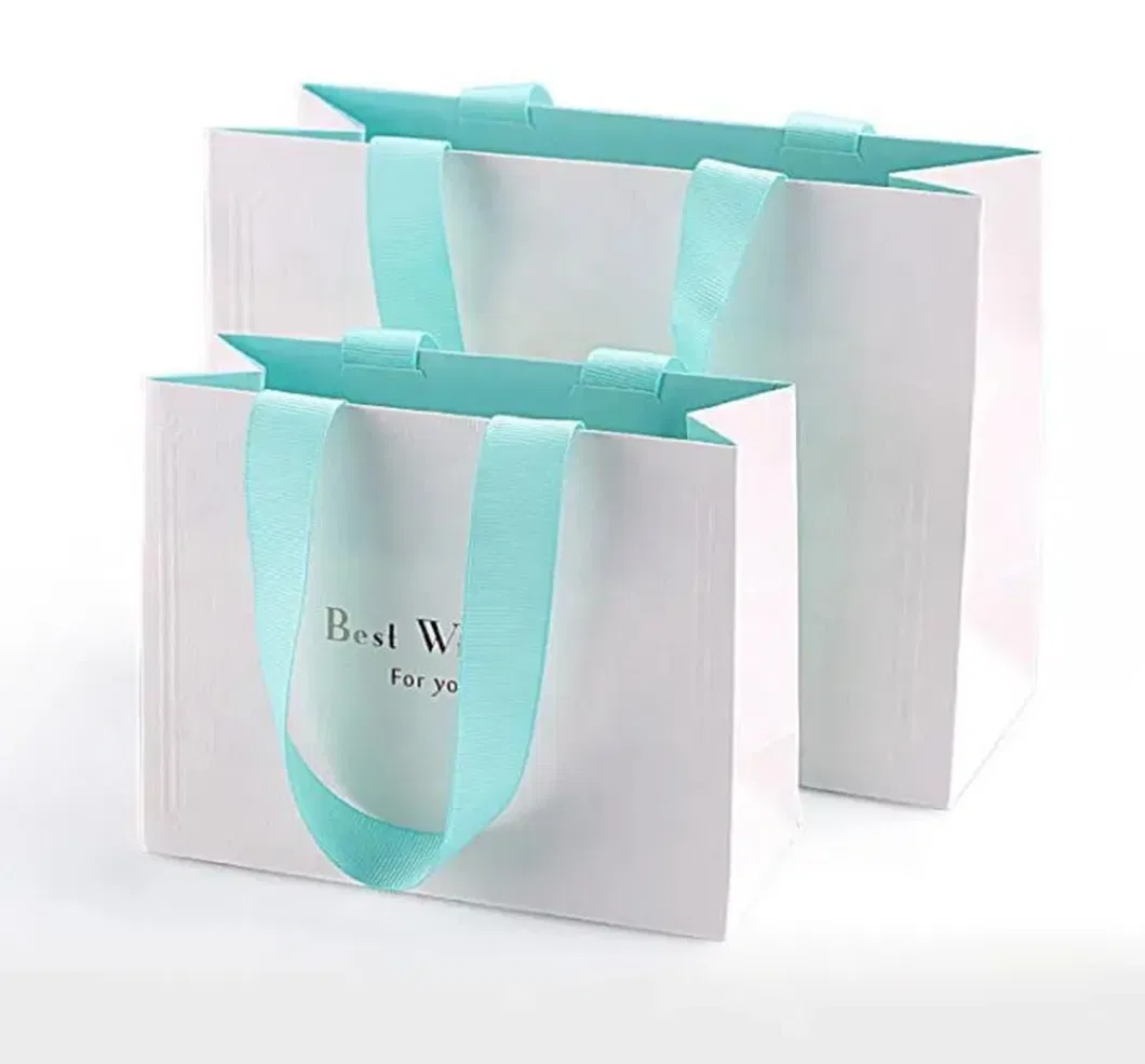 250 GSM Art Paper Luxury Jewelry Cosmetic Gift Clothing Shopping Packaging Bag for Clothes