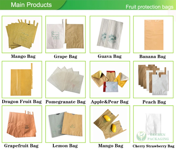 Grapefruit Dragon Orange Custard Apple Pear Peach Pomegranate Grape Banana Growth Guava Protective Paper Bag Cover Mango Fruit Protection Bags