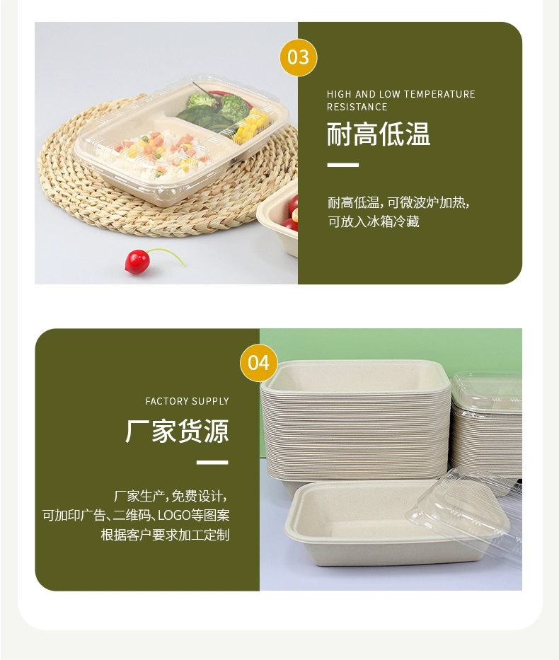 Compartment Box Sugarcane Bagasse Microwave Paper Bento Takeaway Lunch Containers Disposable Lunch Boxes Food Container