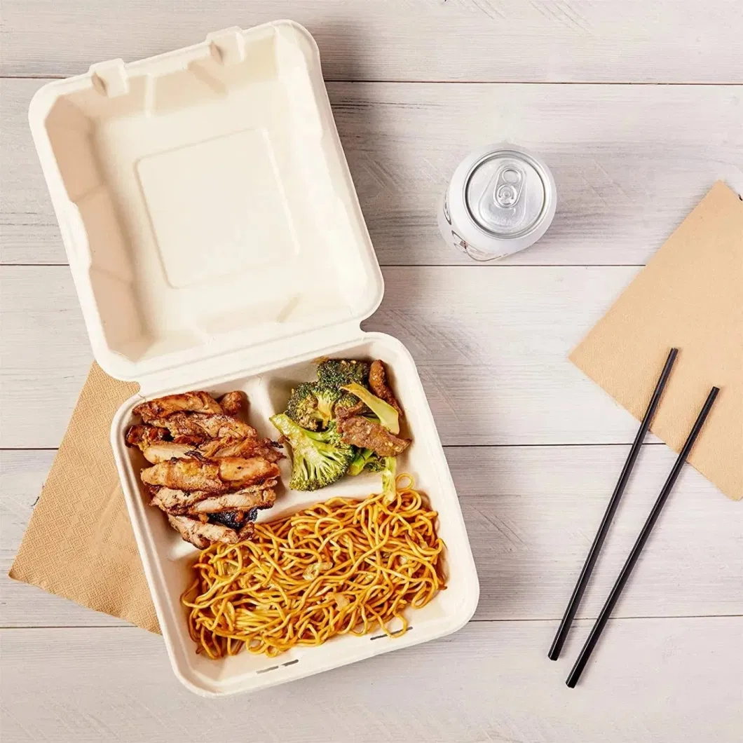 Biodegradable Disposable Takeaway Food Container Bagasse Paper Food Box Fruit and Vegetable Takeaway Container