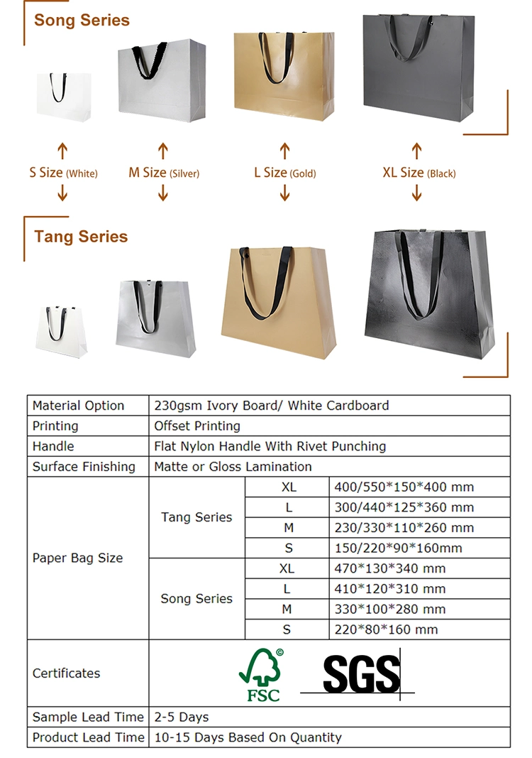 Low MOQ Custom Size Paper Shopping Bag Gift Packaging Bags for Sale