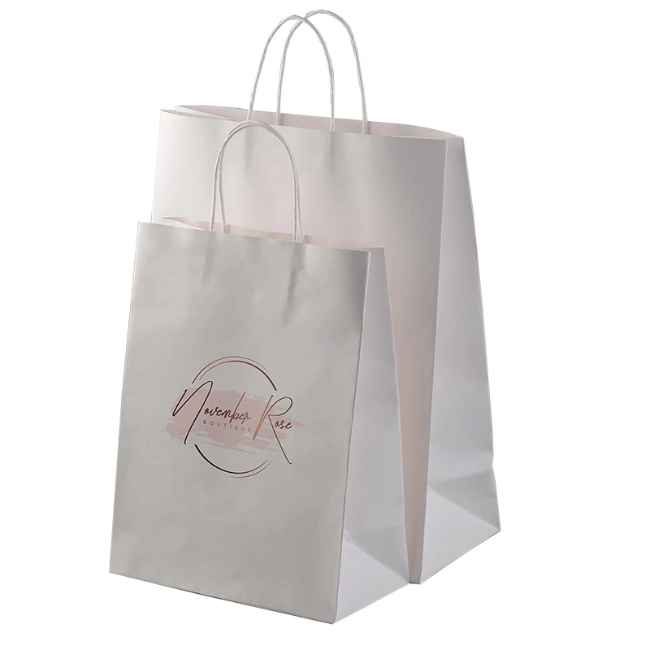 Luxury Gift Bag Custom Paper Packaging Shopping Bag/Paper Bag for Clothing