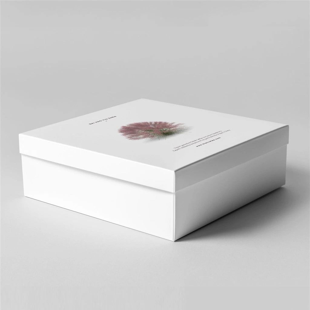 White Coated Paper Strong Gift Box with Color Printed for Flower Packaging