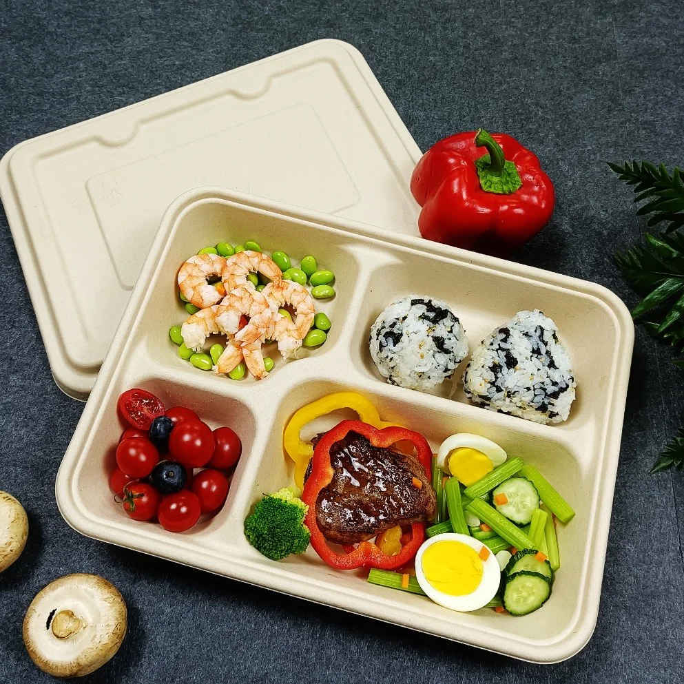 Biodegradable Tableware Disposable Carry-out Compostable Sugarcane Food Container Take Away Lunch Packaging Pulp 3/4/5/6 Compartment Bagasse Box/Tray Box