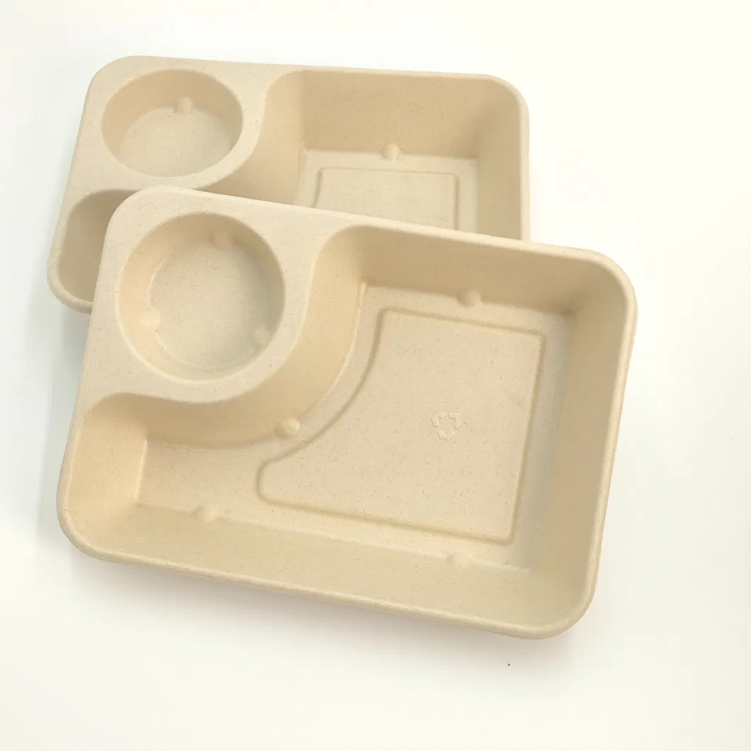 Biodegradable Tableware Disposable Carry-out Compostable Sugarcane Food Container Take Away Lunch Packaging Pulp 3/4/5/6 Compartment Bagasse Box/Tray Box