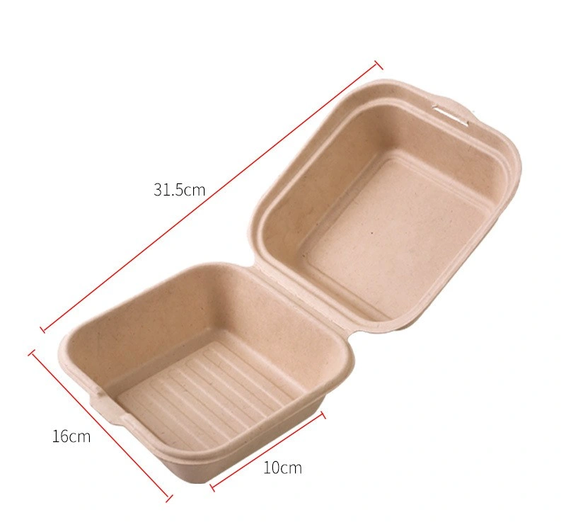 Degradable Paper Pulp Meal Boxes Salad Burger Fruit and Vegetable Cake Meal Box