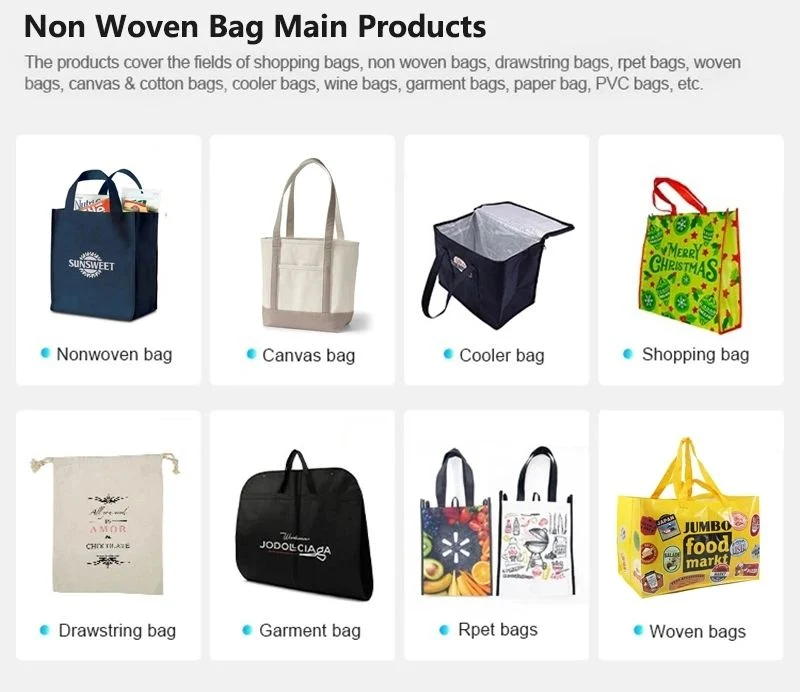 Whole Sale Promotional Reusable Eco PP Non Woven Shopping Bag PP Nonwoven Bag for Sale