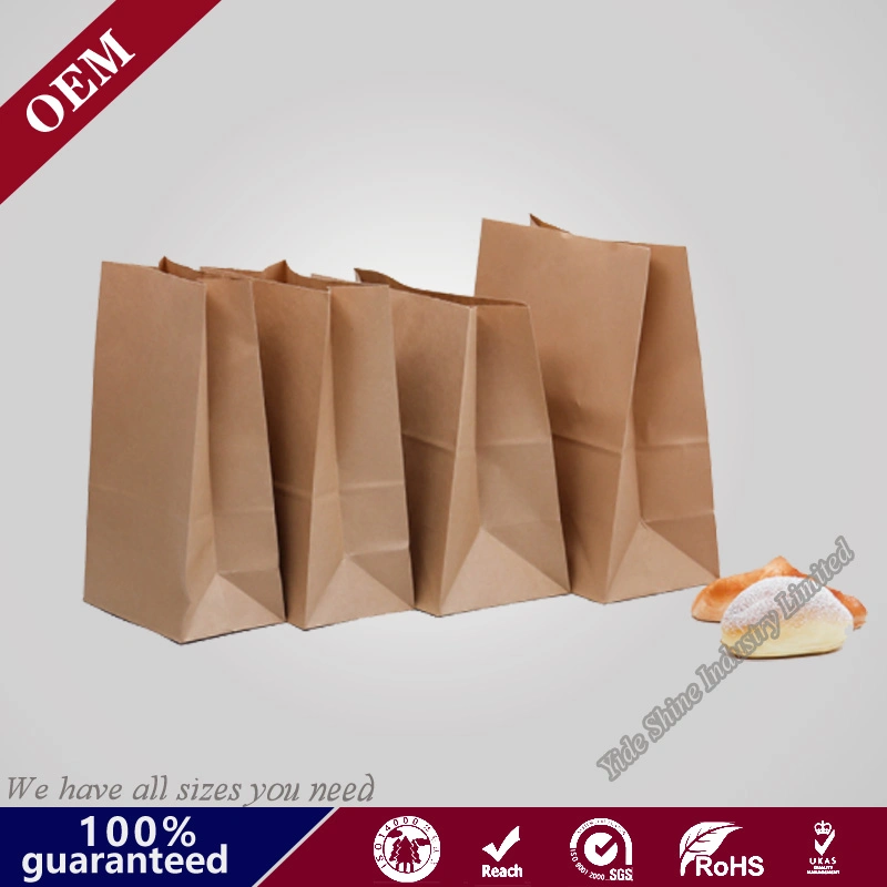 Durable and Reusable Brown, Sack Lunch Bags Paper Bags