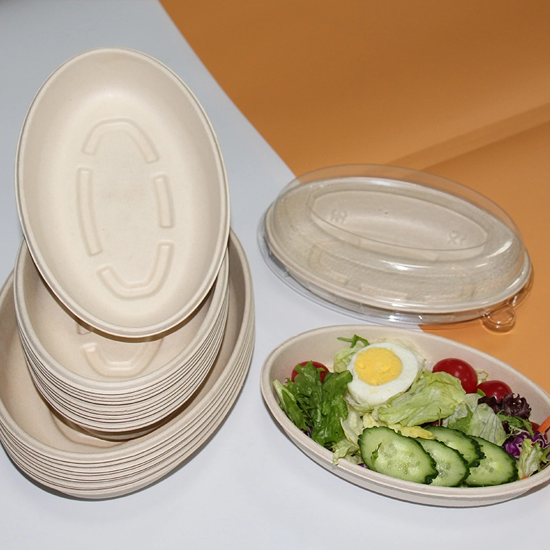 Eco 100% Compostable Eco-Food Packaging One Single Use Biocane Plate Salad Plate Oval Paper Bowl Dinnerware Set Menu Bowl Sugarcane Fiber Bowl with Clear Window