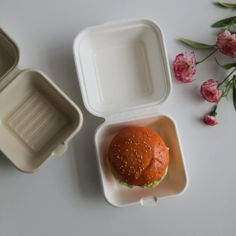 Disposable Biodegradable Paper Lunch Box Sugarcane Bagasse Clamshell Burger Take out Box