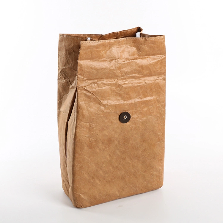 Wholesale DuPont Portable Waterproof Thermal Insulation Tyvek Lunch Box Cooler Case Brown Kraft Paper Bag for Picnic