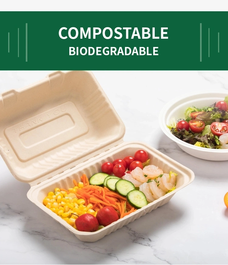 Biodegradable Disposable Takeaway Food Container Bagasse Paper Food Box Fruit and Vegetable Takeaway Container