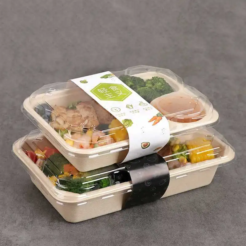 Biodegradable Disposable Paper Pulp Light Food Dumpling Box Salad Rectangular Box (HA-92)