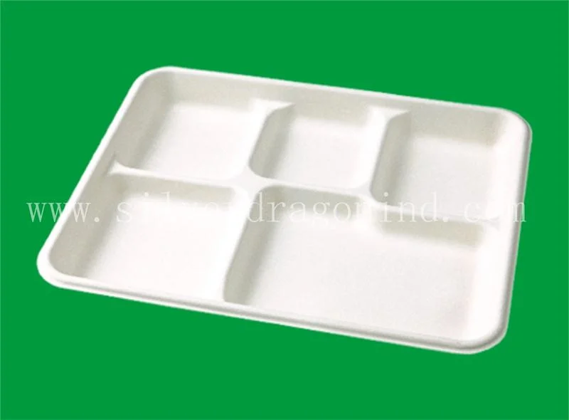 Wholesale Biodegradable Compostable Pulp Paper Tableware Lunch Box, Bowl, Plate, Cup, Tray