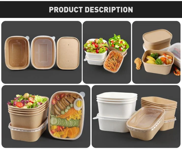 Biodegradable Packing Box/Paper Box/Packaging-Boxes/Cake Box/Packaging Carton Box/Paper-Gift-Box/Paper Gift Box/Custom Packaging Box/Lunch Box/Food Container