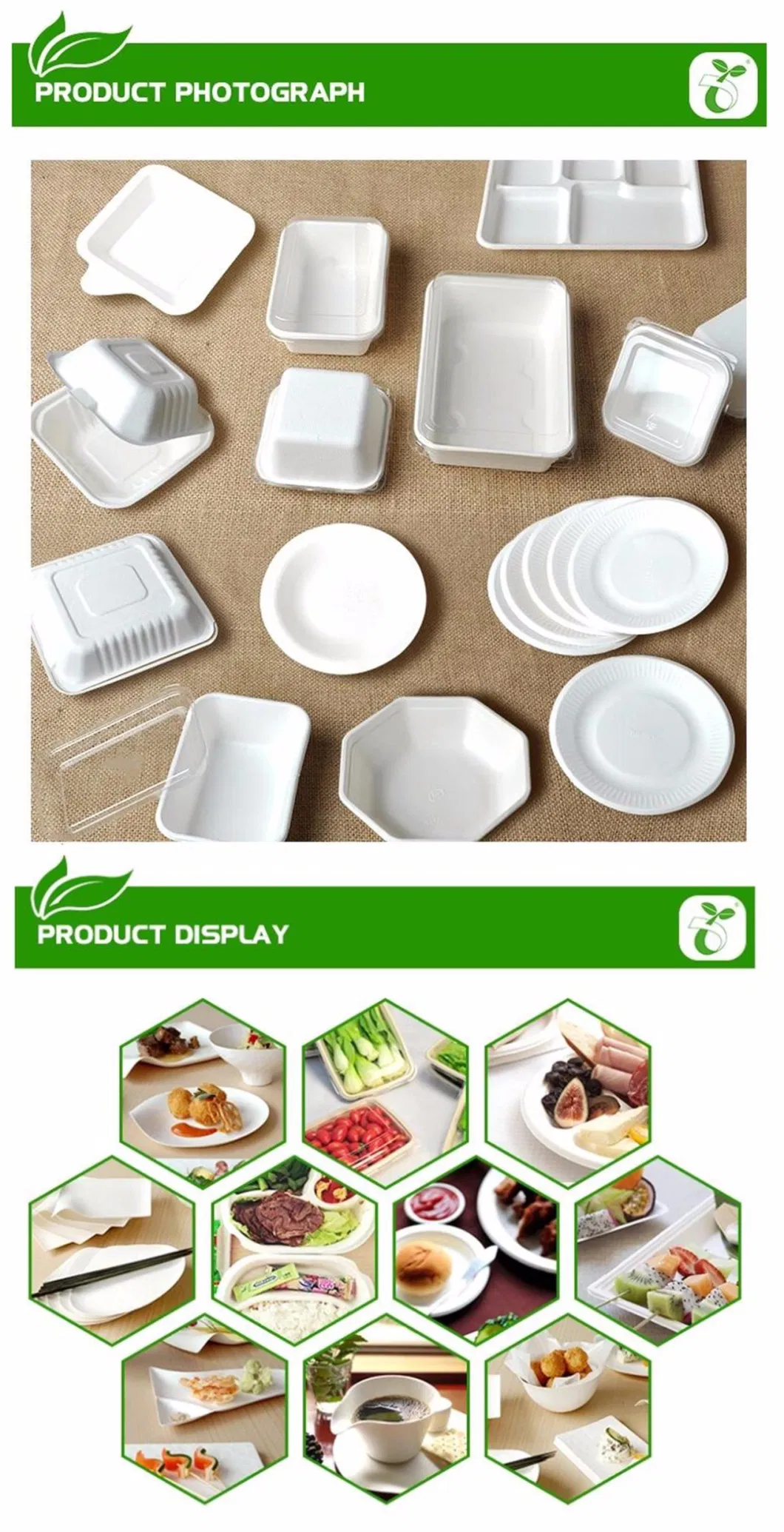 Disposable Fast Food Box Sugarcane Paper Pulp Burger Box