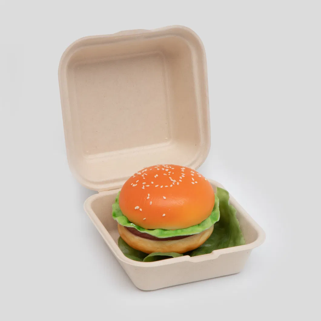 Biodegradable Container Food Takeaway Packaging Sugarcane Bagasse Pulp Paper Lunch Hamburger Box