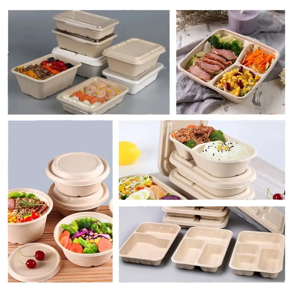 Biodegradable Disposable Takeaway Food Container Bagasse Paper Food Box Fruit and Vegetable Takeaway Container