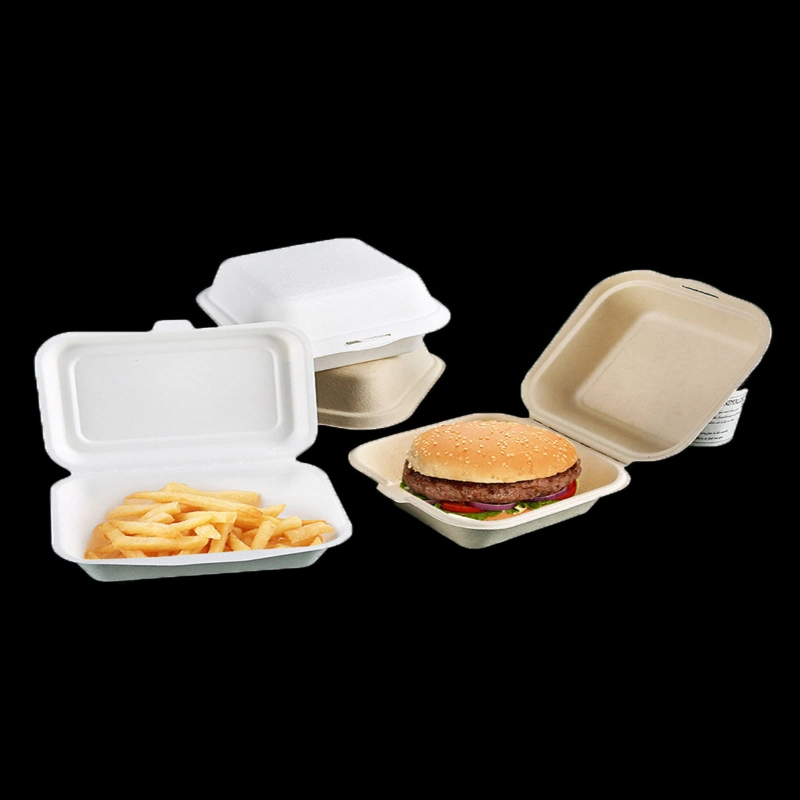 Disposable Biodegradable Paper Lunch Box Sugarcane Bagasse Clamshell Burger Take out Box