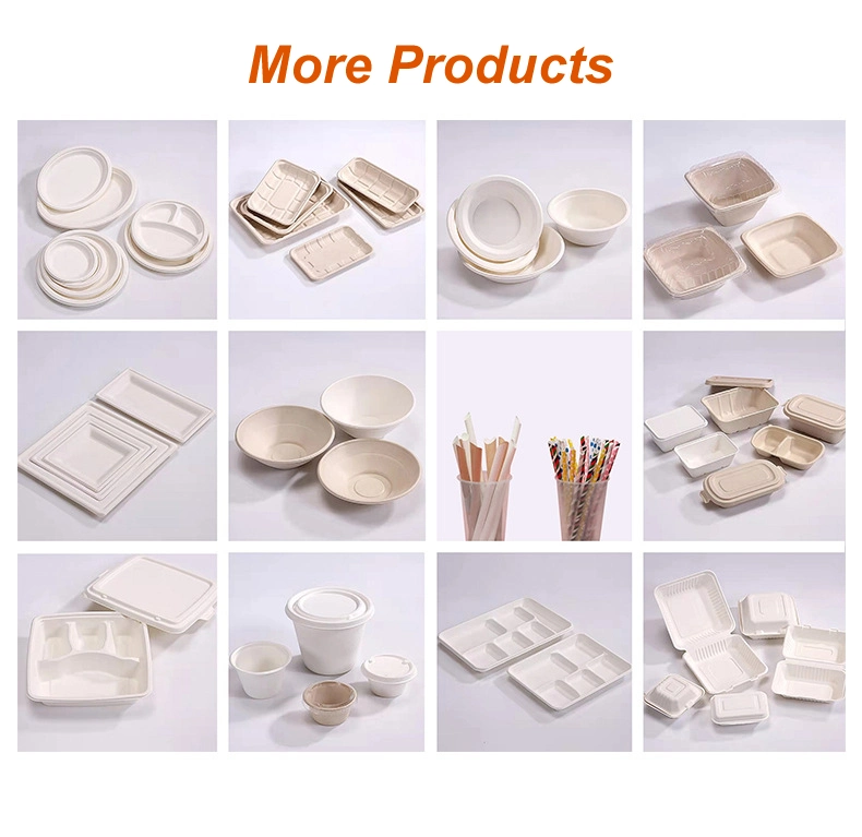 Approved Disposable Paper Pulp Fruit Tray Soup Dish Dishes &amp; Plates Takeaway Food Container Dining Room