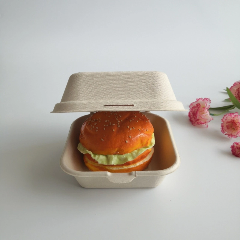 Disposable Biodegradable Paper Lunch Box Sugarcane Bagasse Clamshell Burger Take out Box