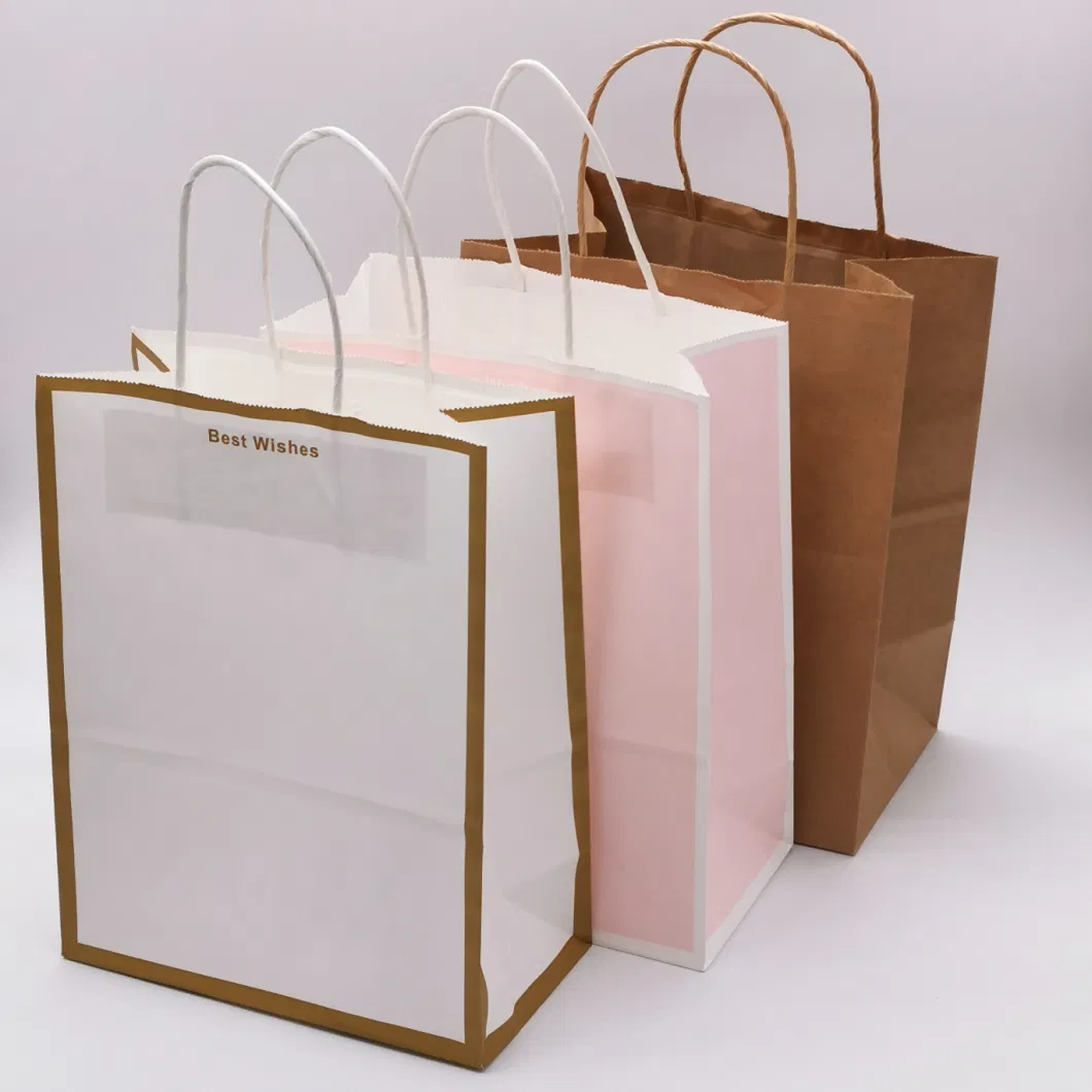 Custom Printed Jewelry Shopping Bag Luxury Gift Paper Bag with Rope Handle