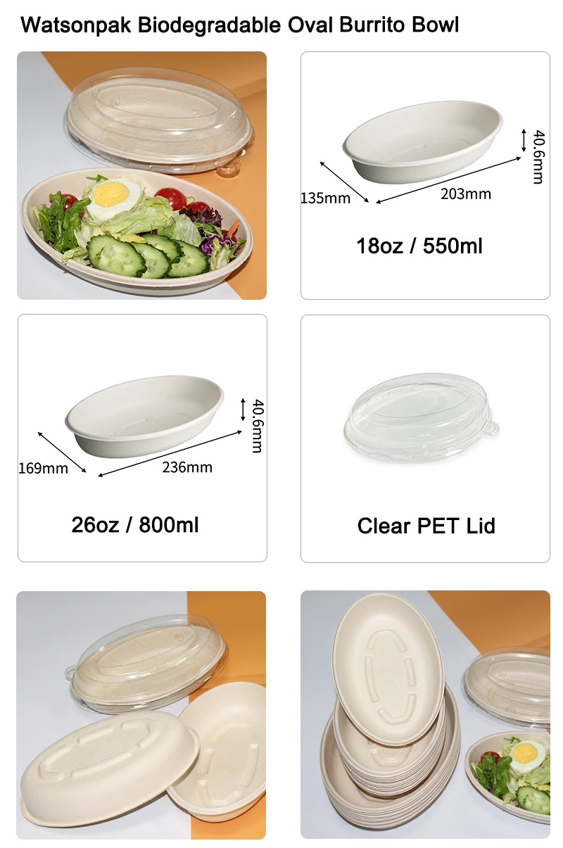 Eco 100% Compostable Eco-Food Packaging One Single Use Biocane Plate Salad Plate Oval Paper Bowl Dinnerware Set Menu Bowl Sugarcane Fiber Bowl with Clear Window