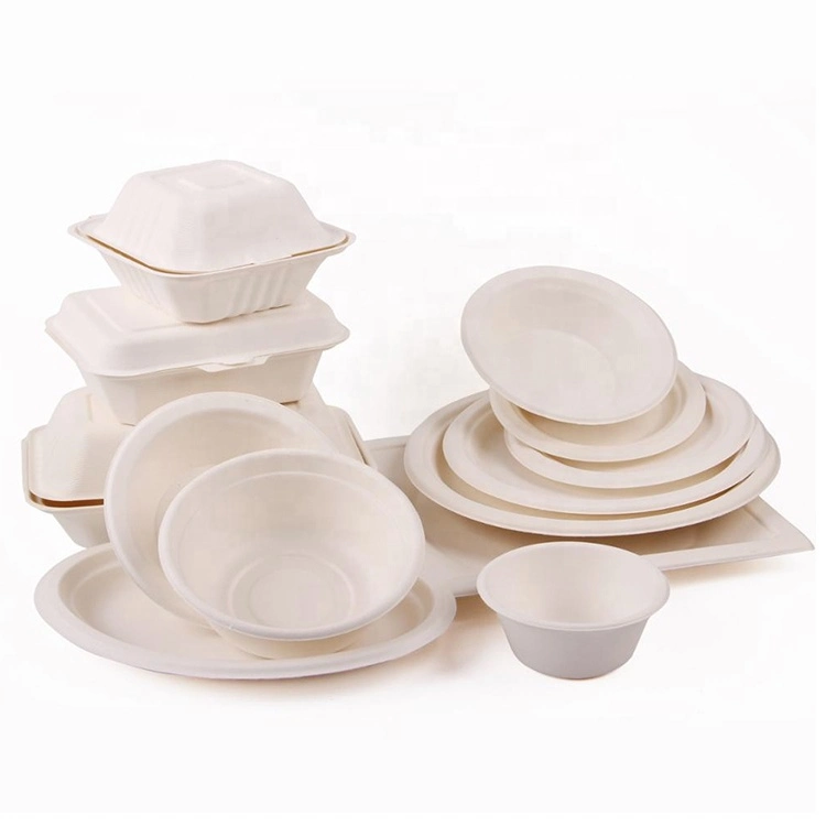 to Go Paper Plates Popular Favorable Picnic Sugarcane Bagasse Big Food Party Disposable Plates and Bowls