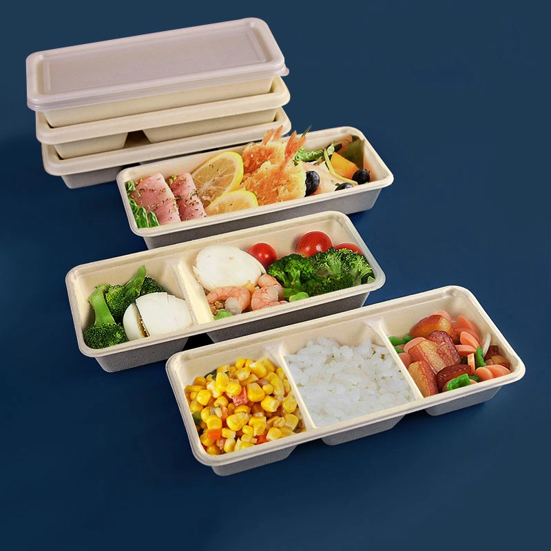 Disposable Biodegradable Paper Lunch Box Sugarcane Bagasse Clamshell Burger Take out Box