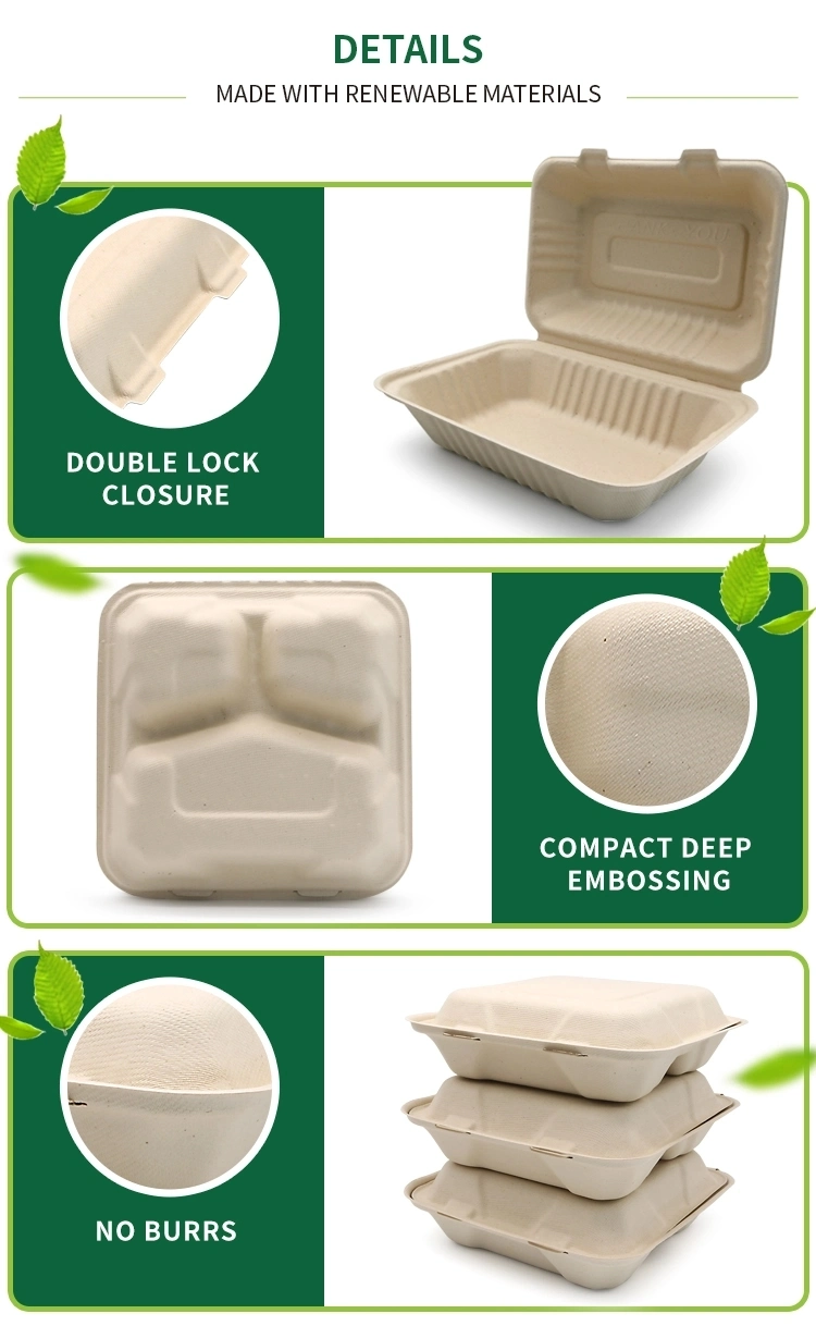 Biodegradable Disposable Takeaway Food Container Bagasse Paper Food Box Fruit and Vegetable Takeaway Container