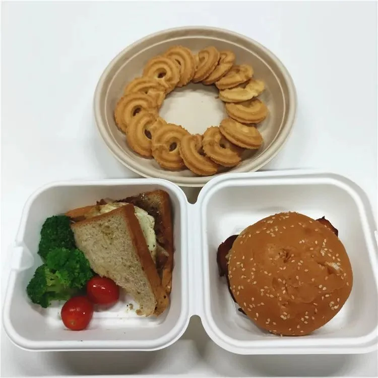 on Sale Biodegradable Disposable Takeaway Bagasse Food Packing Custom Chicken Wing Mini Paper Burger Boxes