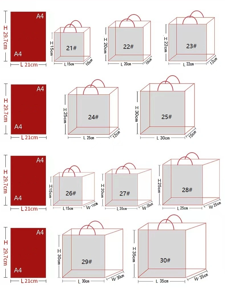 Colorful Gift Packaging Bag White Cardboard Customized Printing Shopping Bag for Clothing Packing