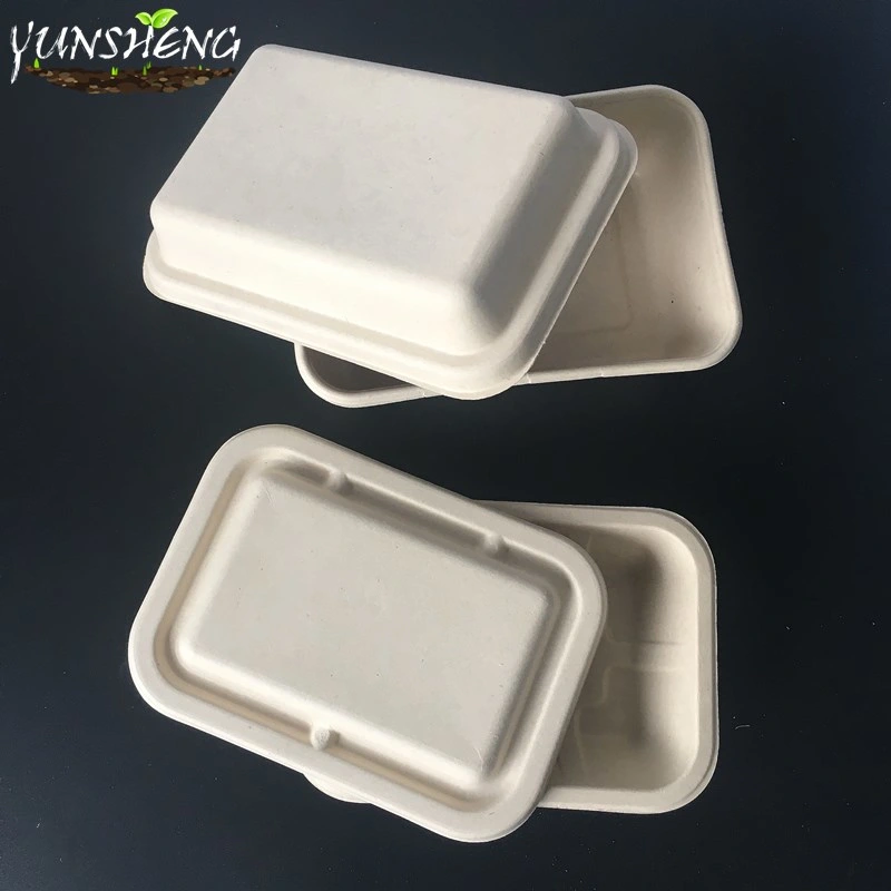 Clean Color Disposable Durable Rectangle Kraft Paper Box with Lids