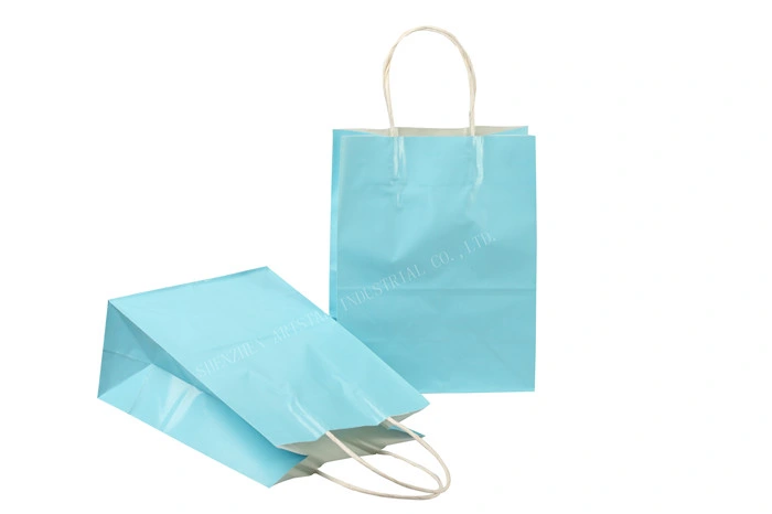 Brown Paper Lunch Bags with Handles