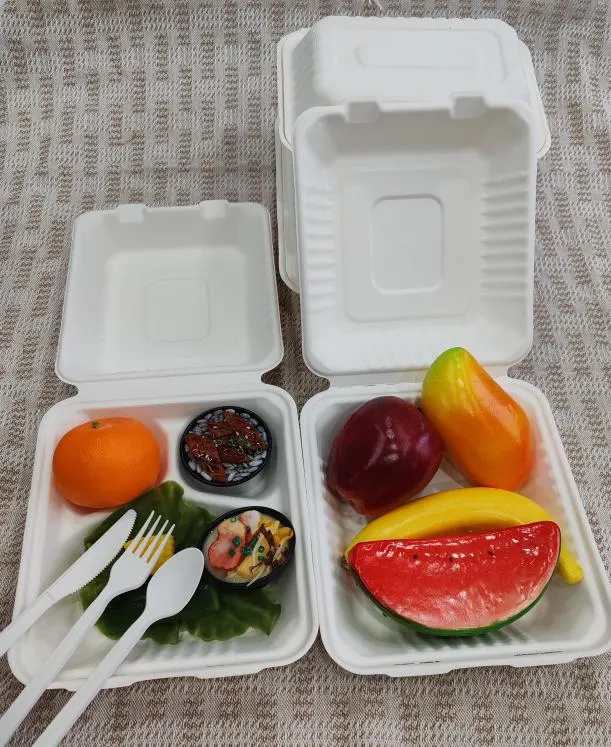 Biodegradable Container Food Takeaway Packaging Sugarcane Bagasse Pulp Paper Lunch Hamburger Box