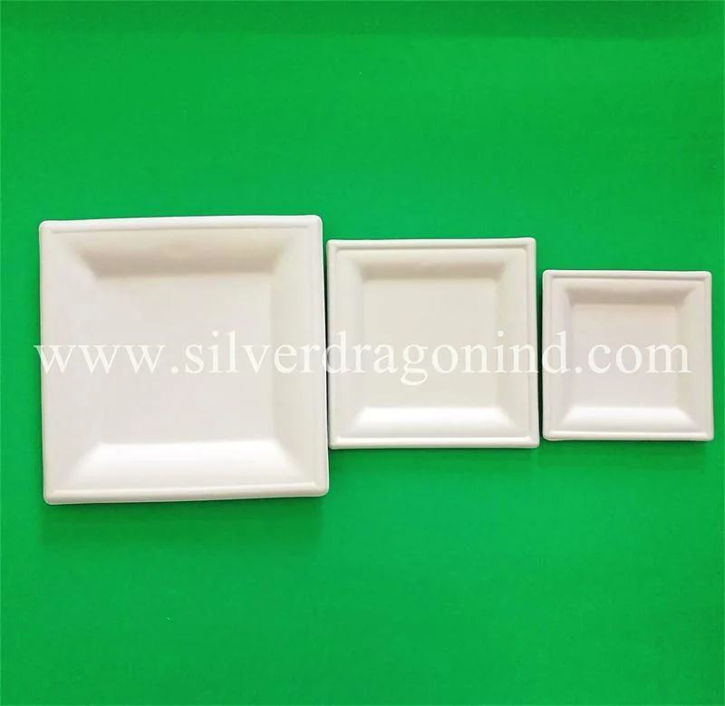 Wholesale Biodegradable Compostable Pulp Paper Tableware Lunch Box, Bowl, Plate, Cup, Tray