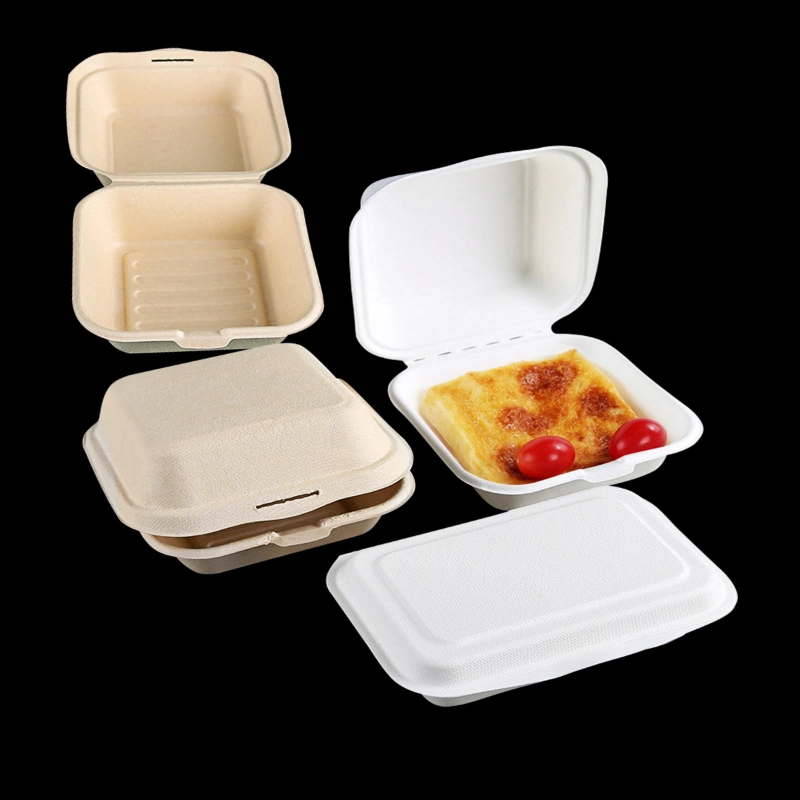 Disposable Biodegradable Paper Lunch Box Sugarcane Bagasse Clamshell Burger Take out Box