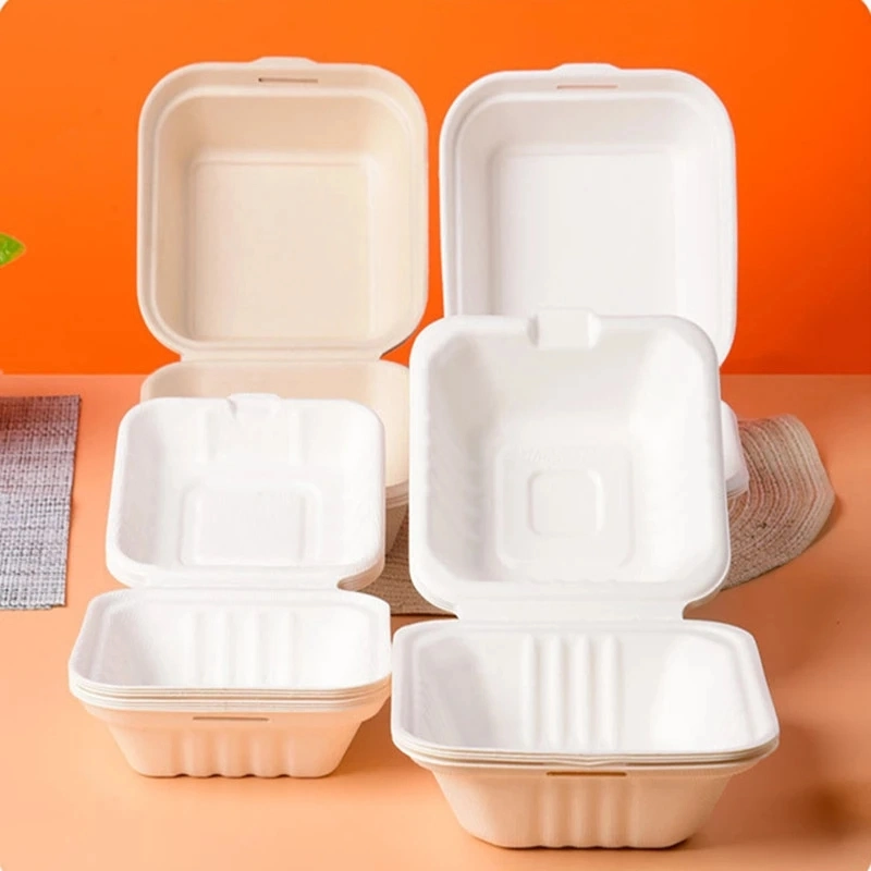 Custom Disposable Sugarcane Cardboard Bento Box Fast Food Container Takeaway Paper Pulp Packing Micro