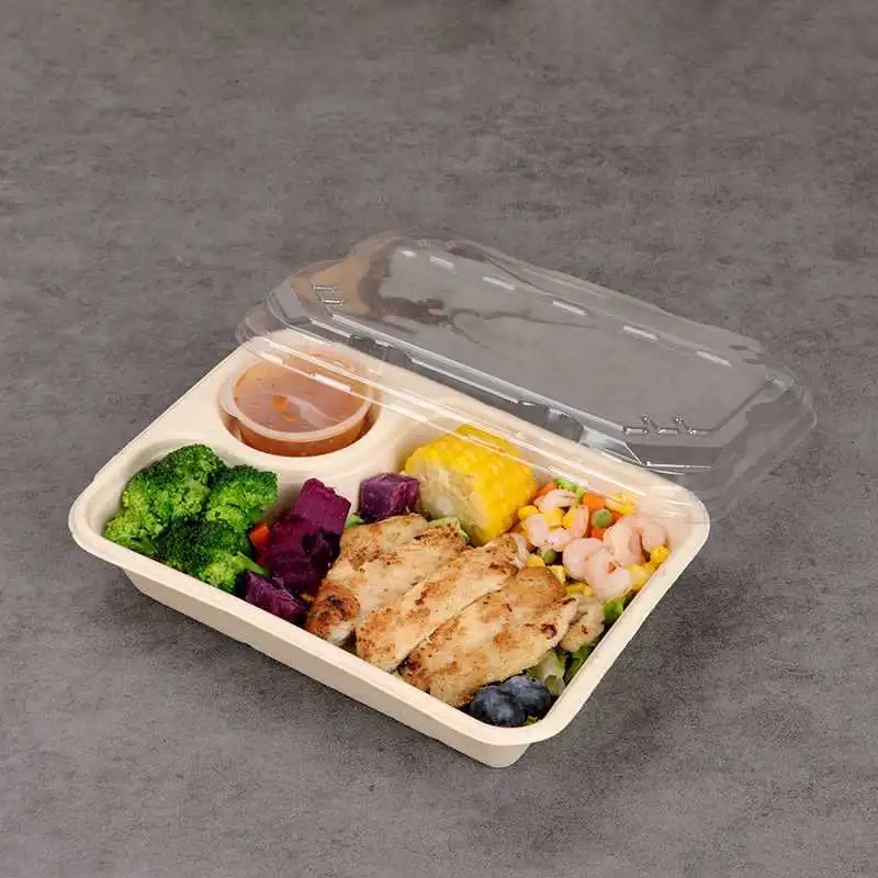 Biodegradable Disposable Paper Pulp Light Food Dumpling Box Salad Rectangular Box (HA-92)