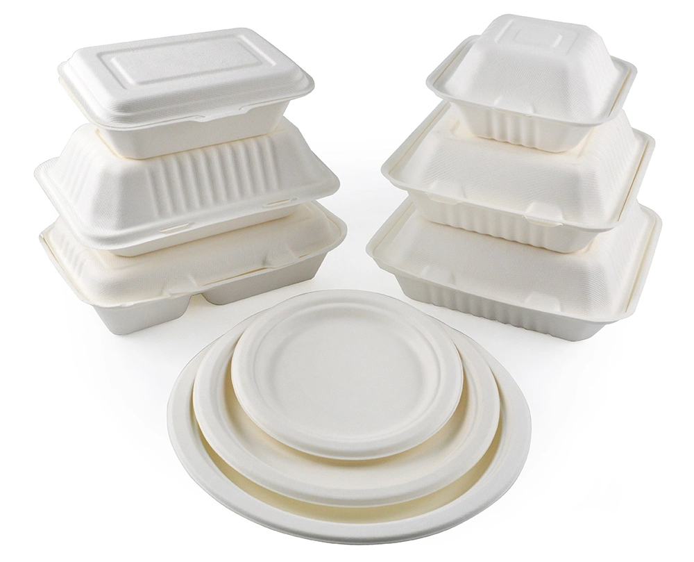 Eco-Friendly Biodegradable Food Takeaway Container Disposable Food Paper Box Packaging