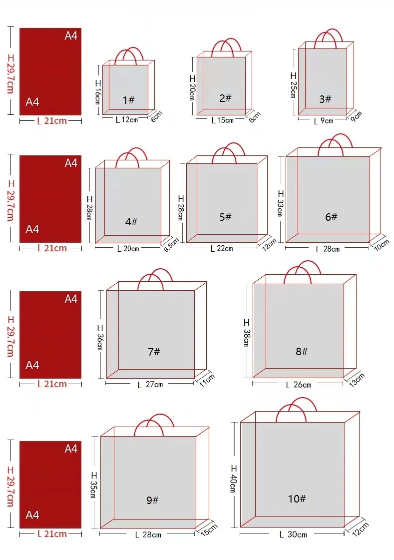 Colorful Gift Packaging Bag White Cardboard Customized Printing Shopping Bag for Clothing Packing