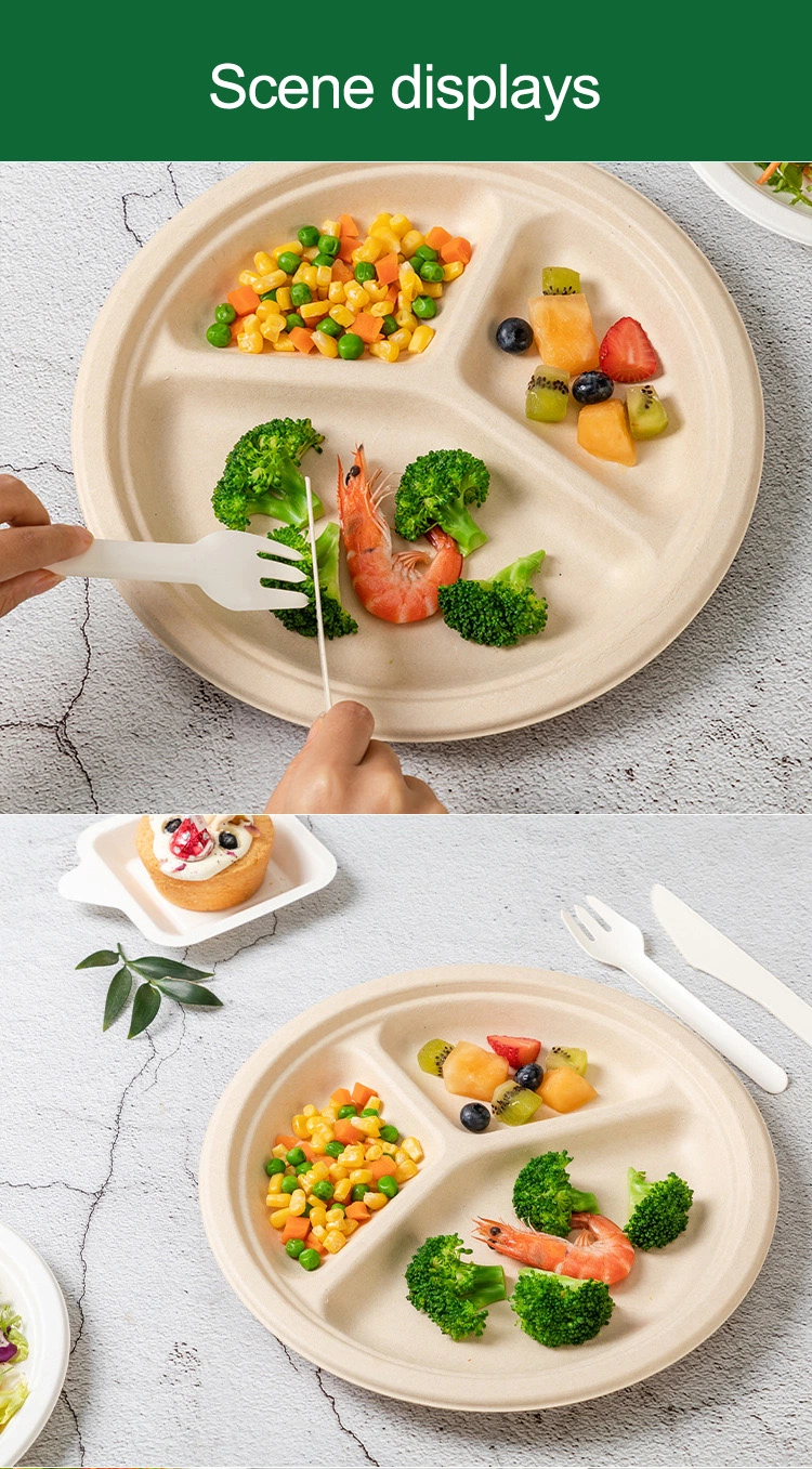 Food Grade Pulp Paper White Natural Color Compostable Biodegradable Disposable Plates Bowls