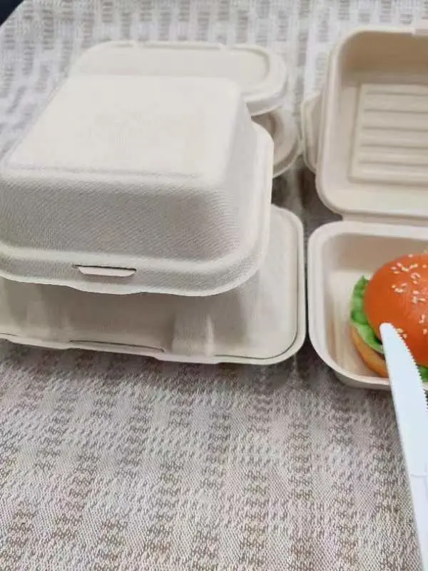 Wholesale Food Packagingdisposable Biodegradable Sugarcane Clamshell Hamburger Box