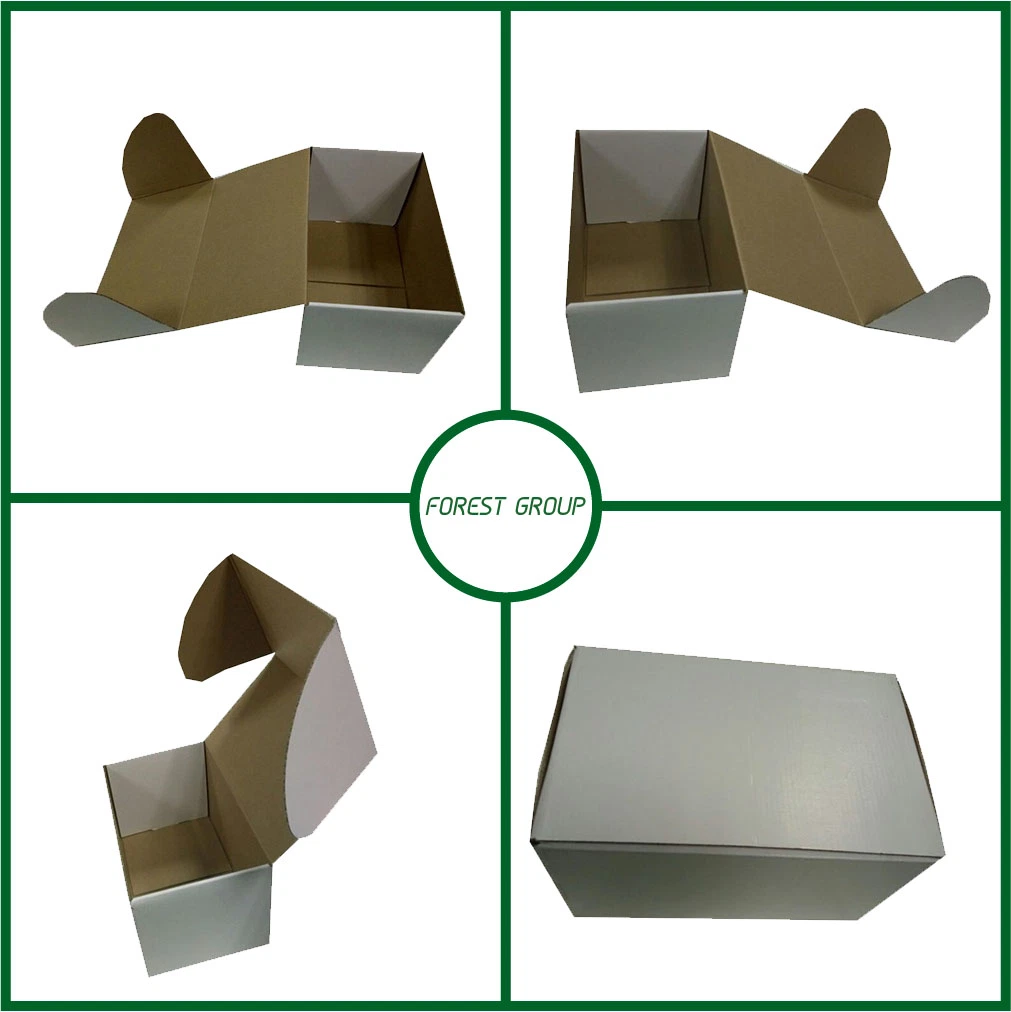 White Custom Paper Box Custom Cardboard Box