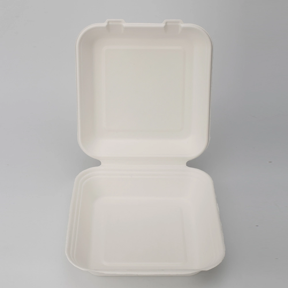 8&quot; X 8&quot;/9X9 Compostable Clamshell Takeaway Lunch Box for Restaurant, Party